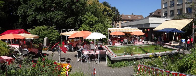 Ah wiesengrund wthur1
