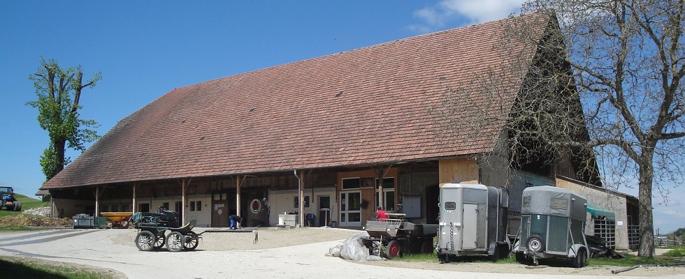 St.ulrich3